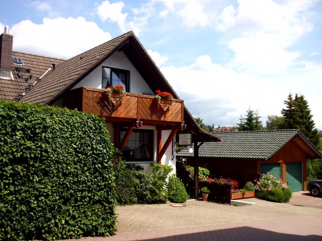 Apartmenthaus - Haus Am Schultal, Braunlage Ngoại thất bức ảnh